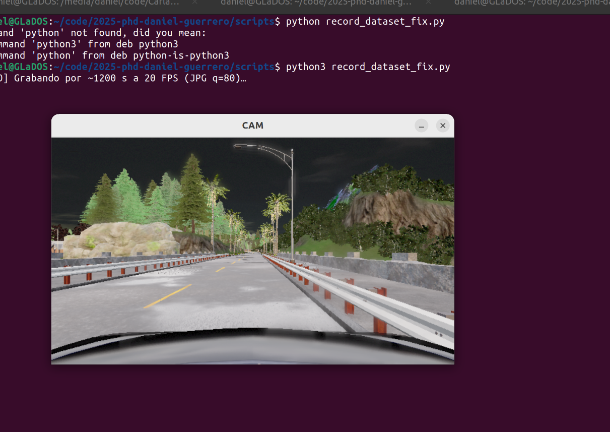 Grabación con CARLA Record/Play